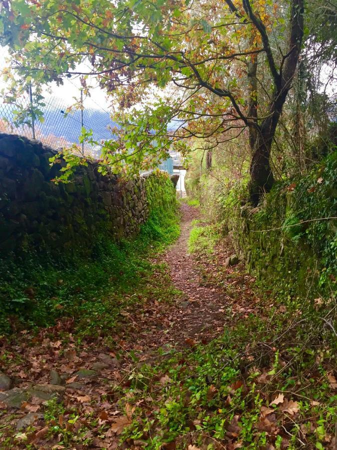 Quinta Da Aranha Villa Arcos de Valdevez Kültér fotó